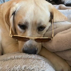 Meet your Posher, Elyana